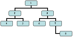 Organization Chart